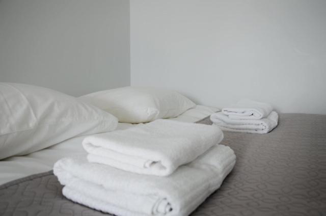 Vytautas Park Apartment With Free Parking Marijampolė Buitenkant foto